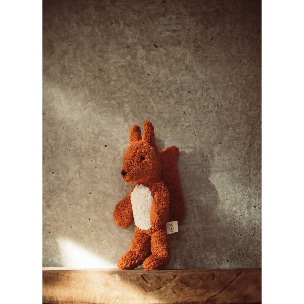 Baby Animal  Squirrel Organic Cotton