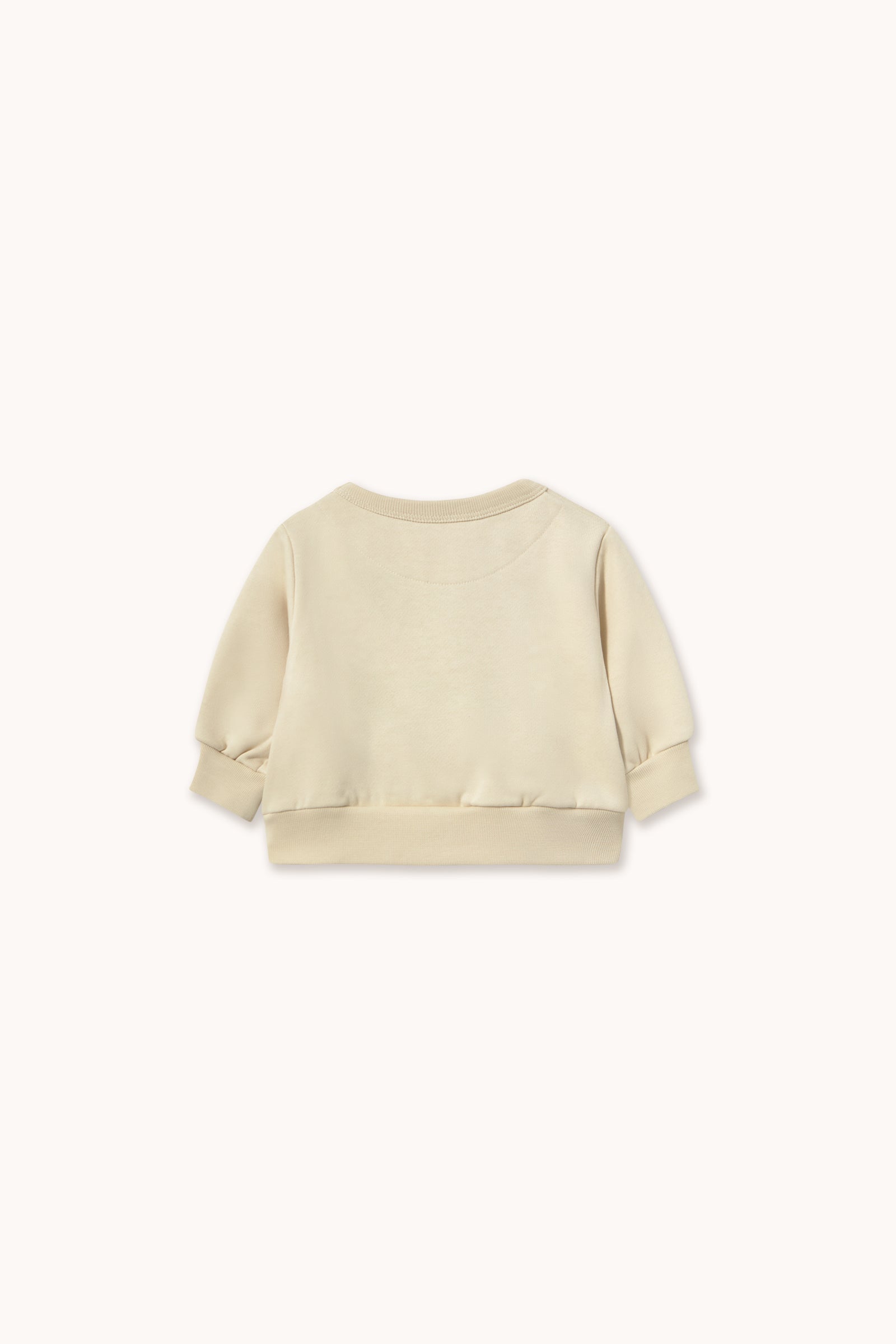 Tinycottons Bear Graphic Baby Sweatshirt Organic Cotton