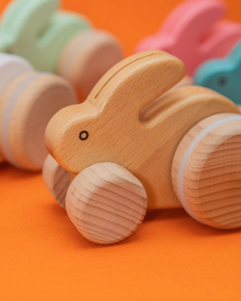 Wooden Natural Push Bunny