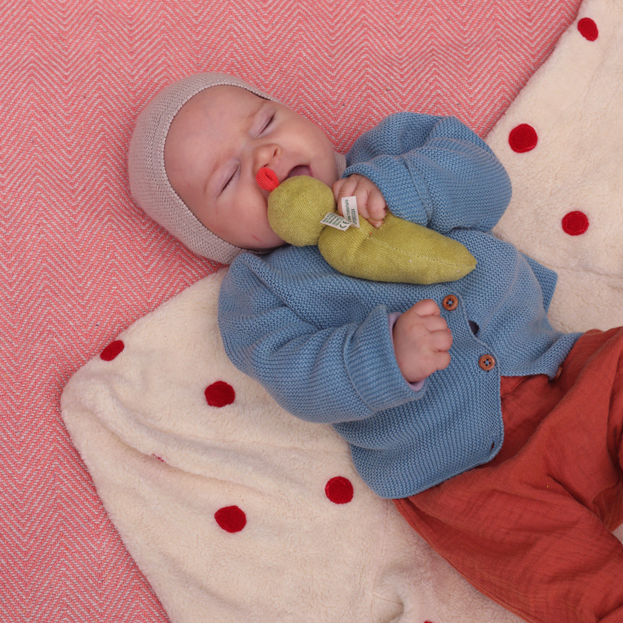 Nanchen Baby Rattle Green Bean