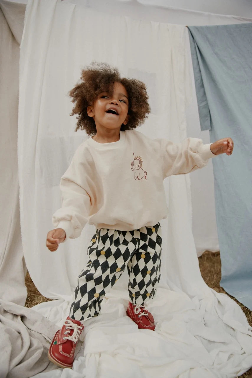 Carner Claude's Curiosities Sweater Organic Cotton