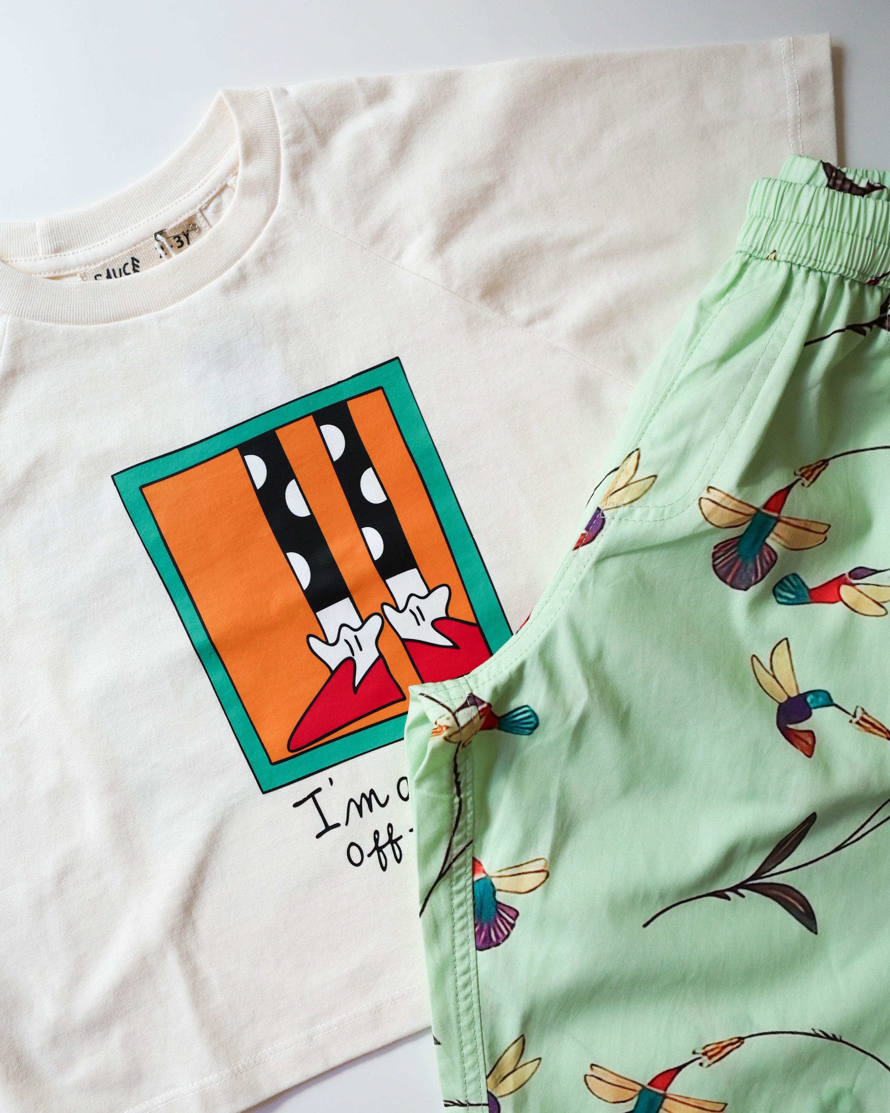 Hummingbirds Summer Wide Cropped Pants