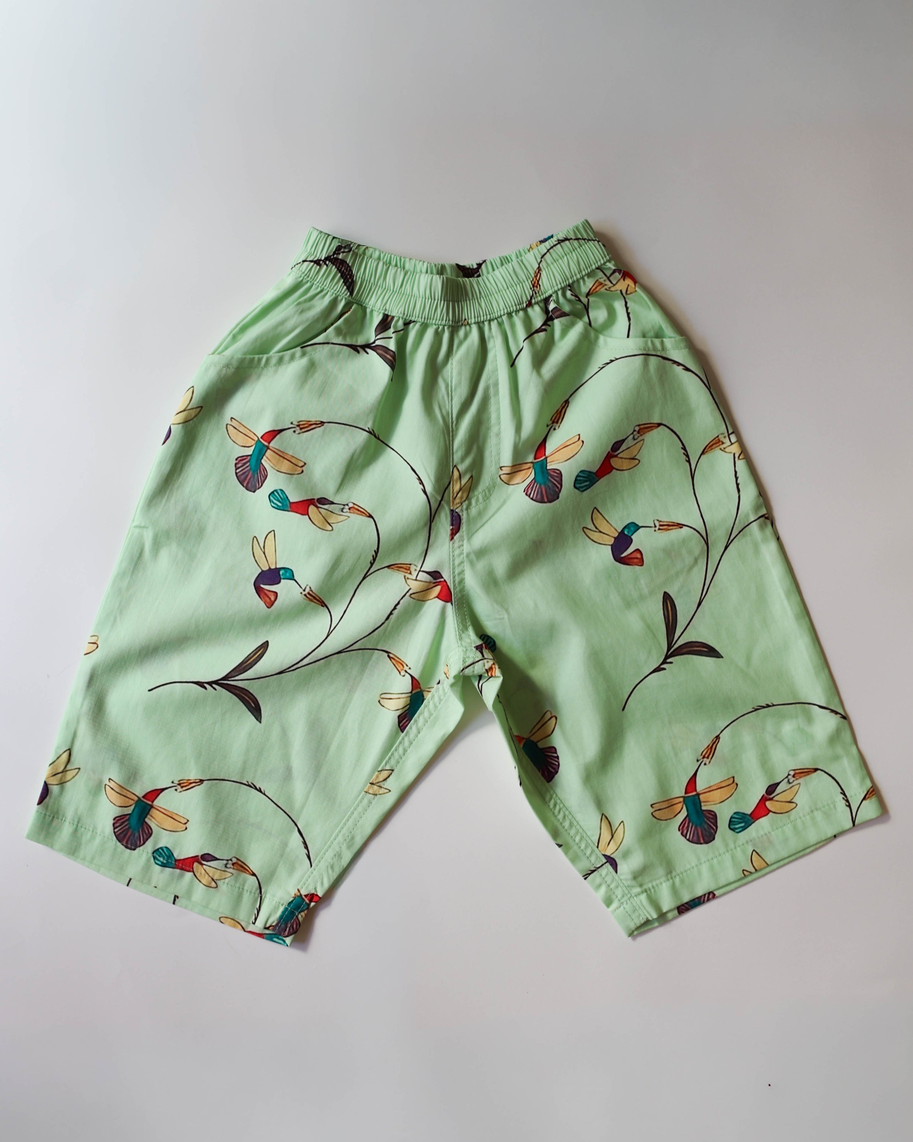 Hummingbirds Summer Wide Cropped Pants