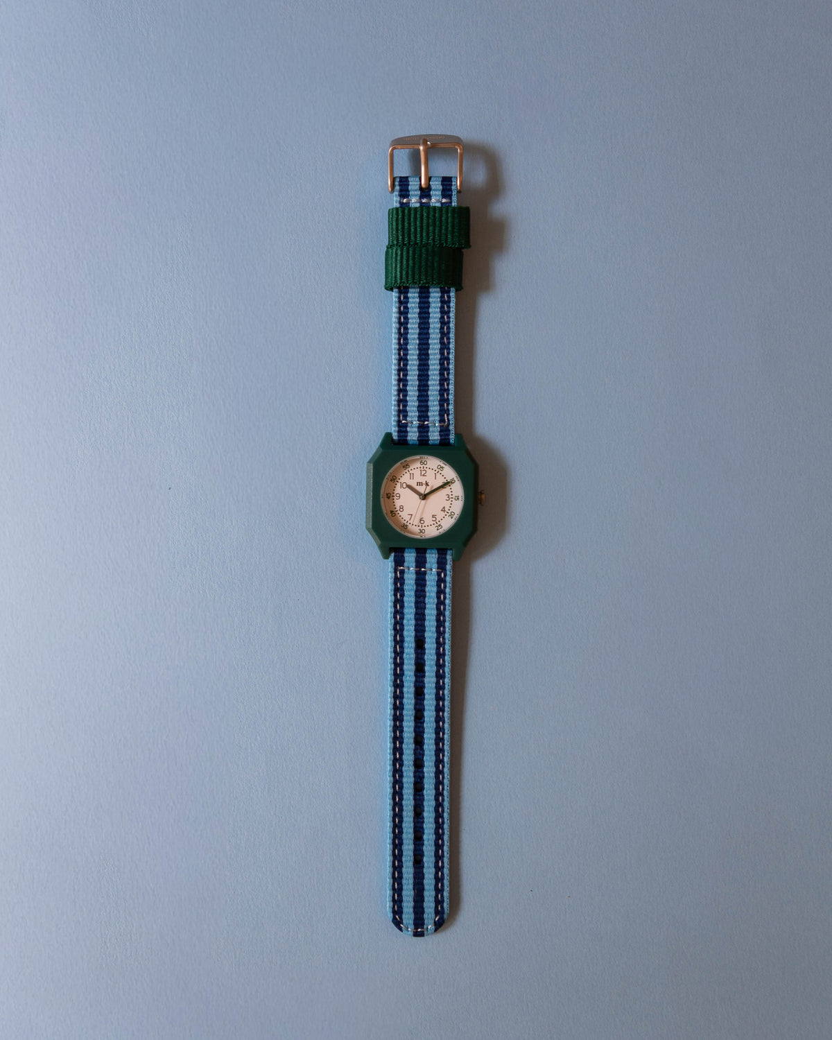 A Day on Earth Watch