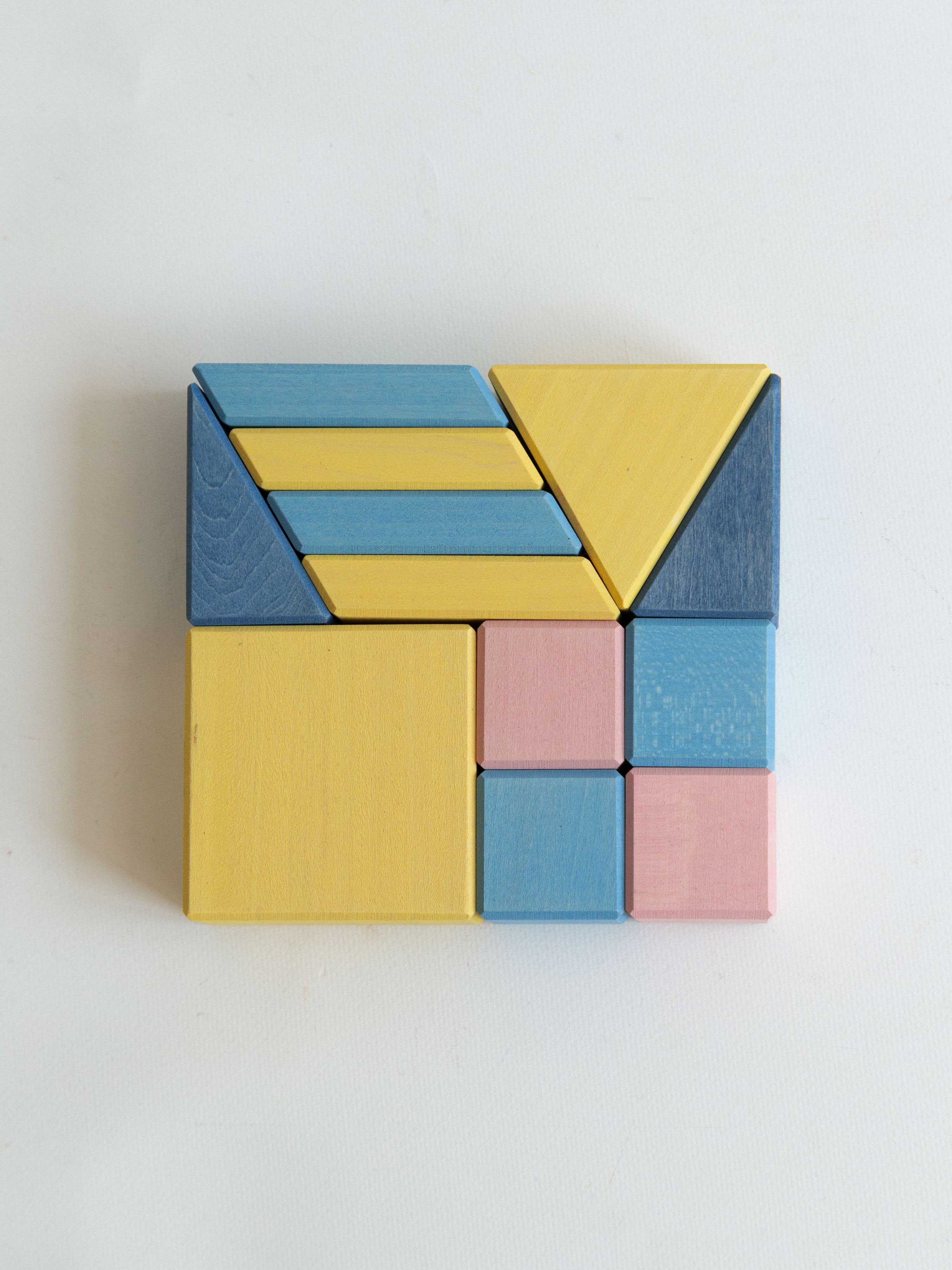 Ant House Wooden Block Set