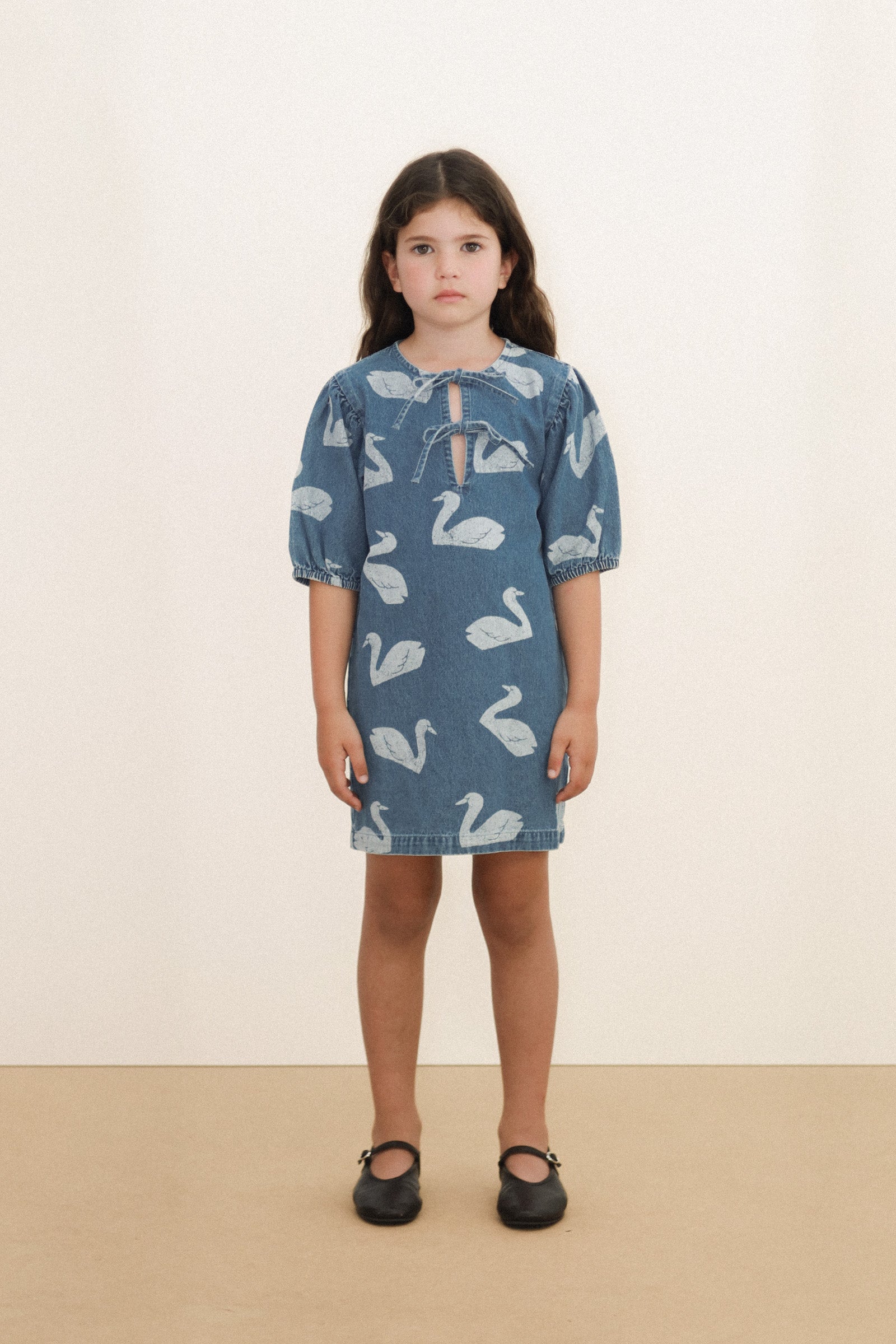 Big Swans Dress Organic Cotton