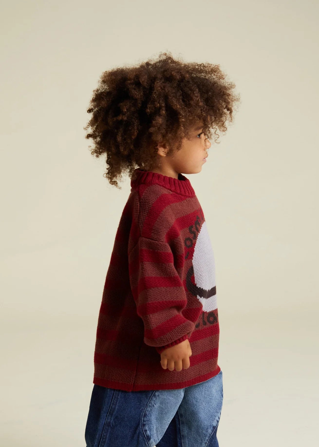 Saturn Maroon Sweater