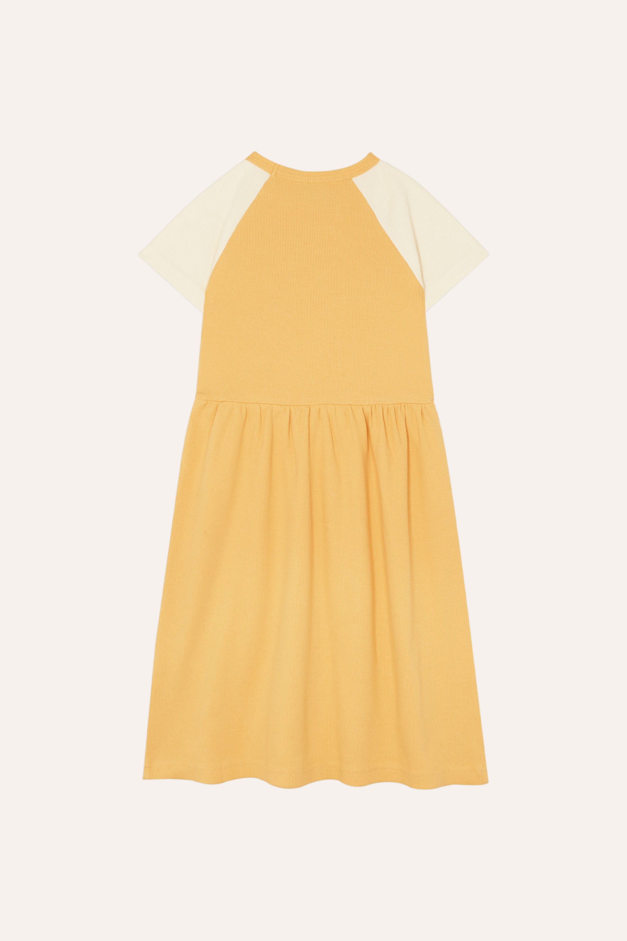 Squirrel in an Apple Dress Organic Cotton