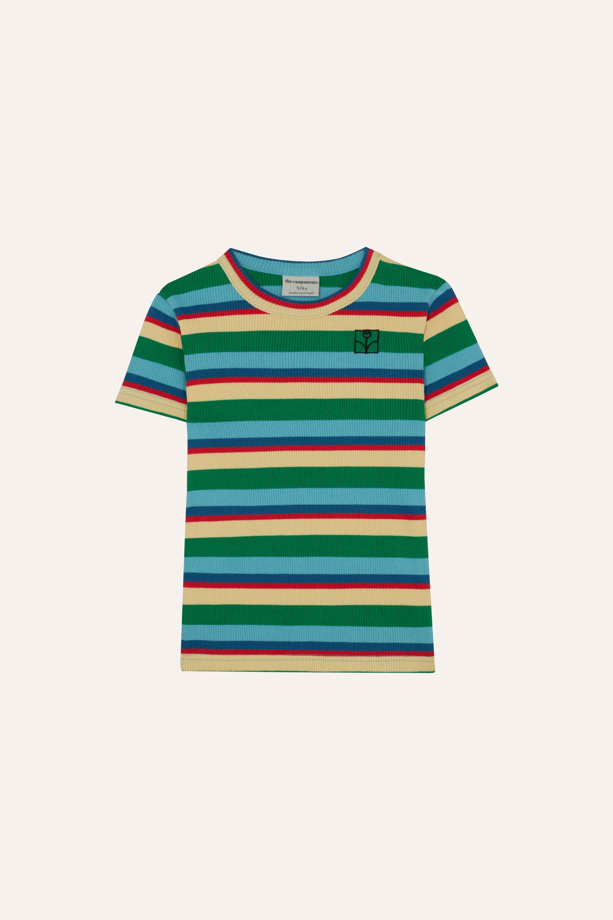 Multicolor Striped Tshirt