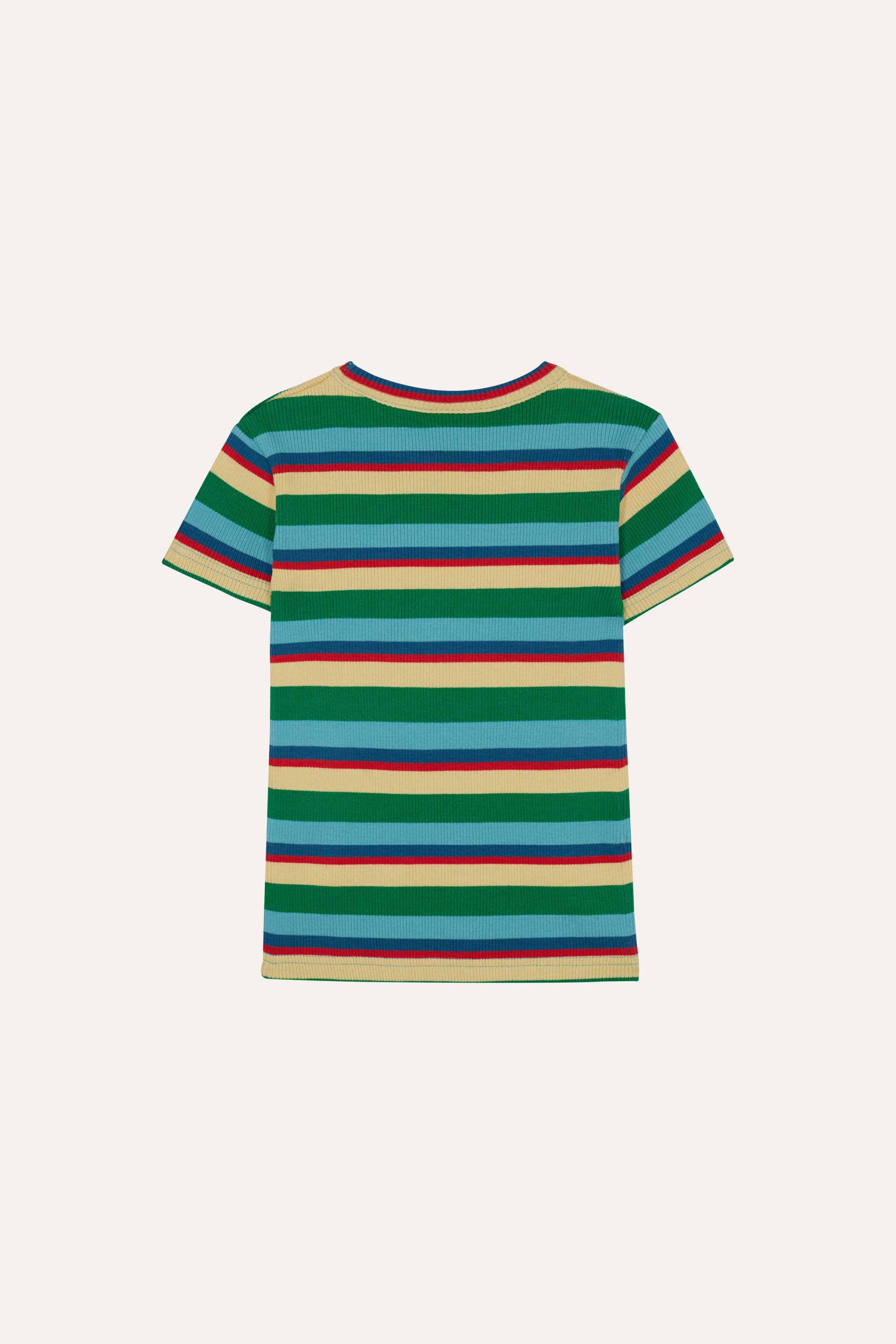 Multicolor Striped Tshirt