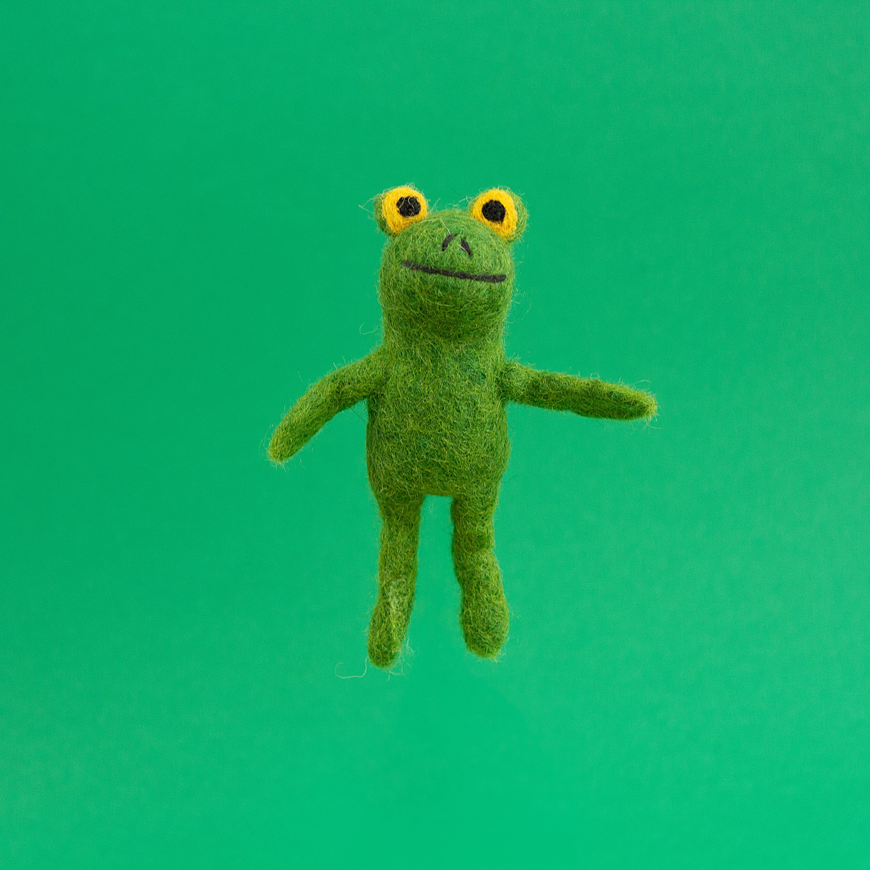 Frog Finger Puppet image 0