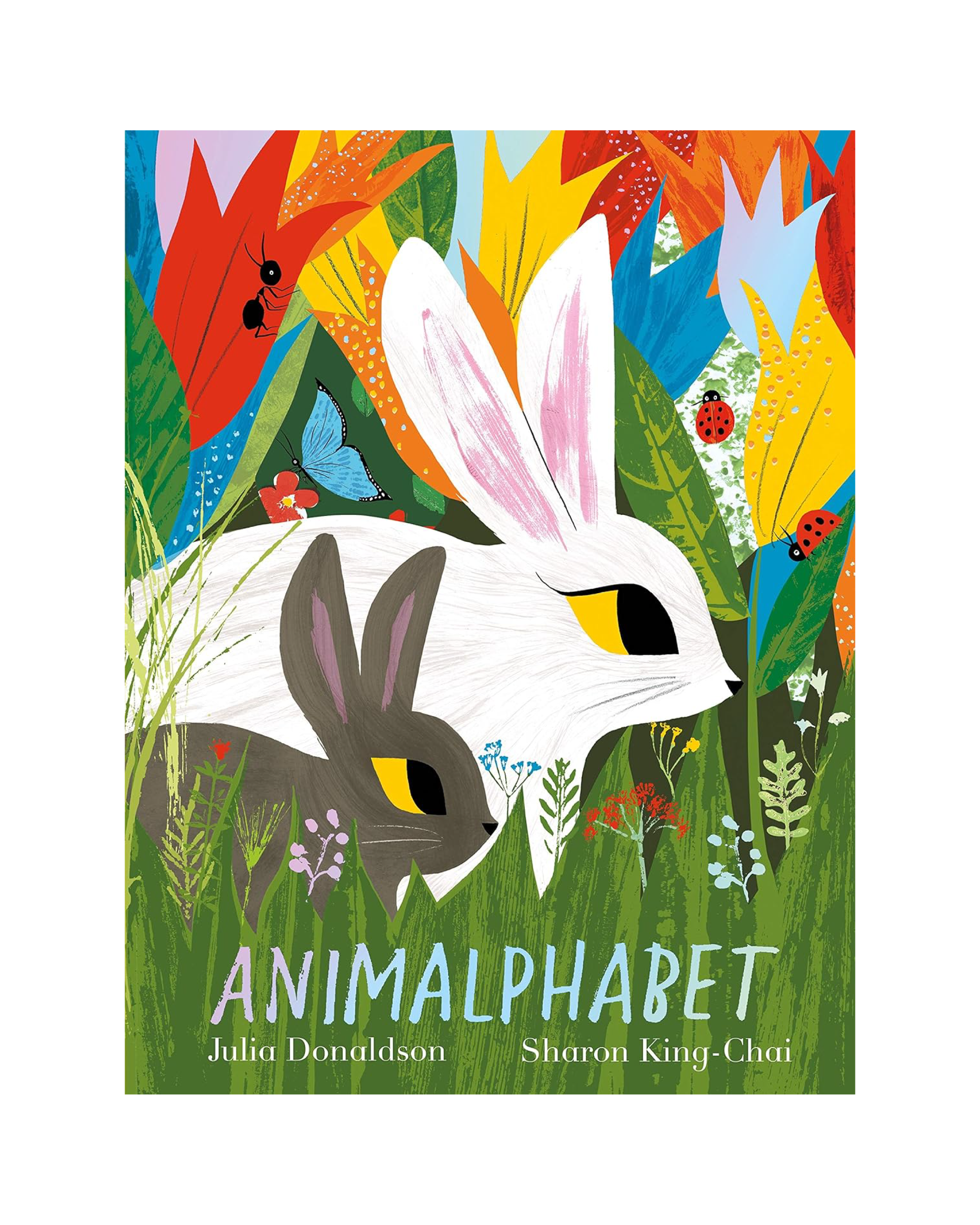 Animalphabet Lift-the-Flap Book