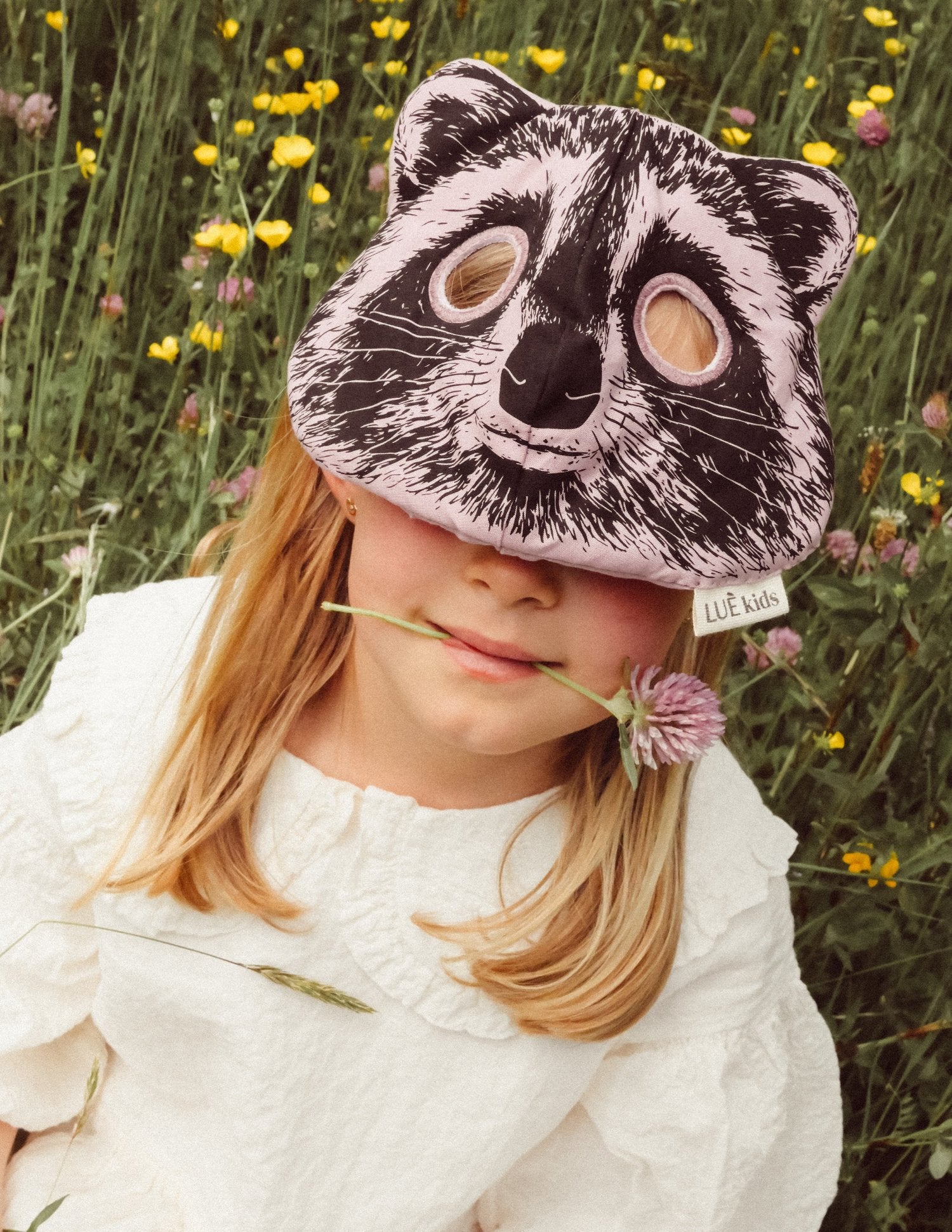 Raccoon Mask image 2