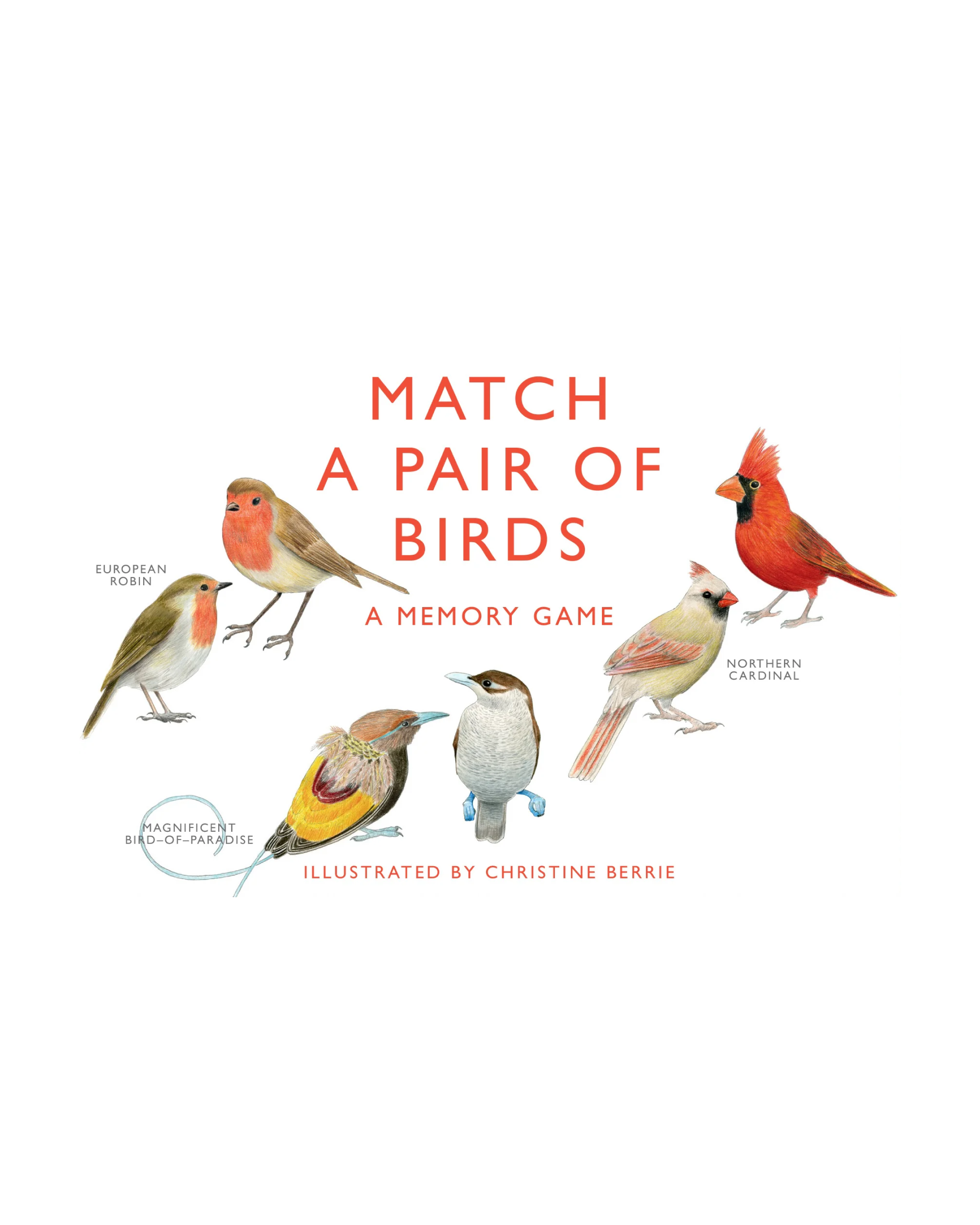 Match a Pair of Birds Memory Game