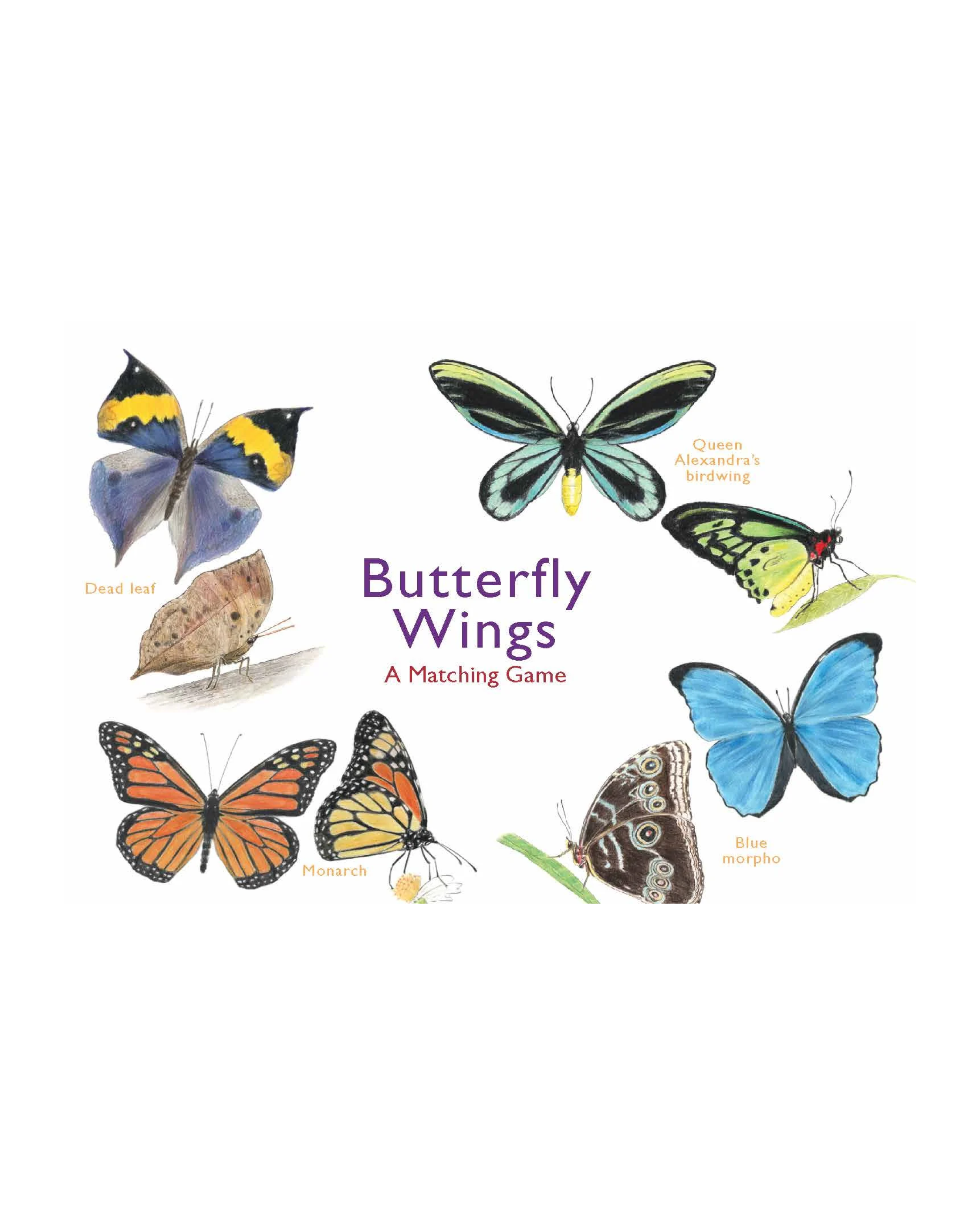 Butterfly Wings Memory Game