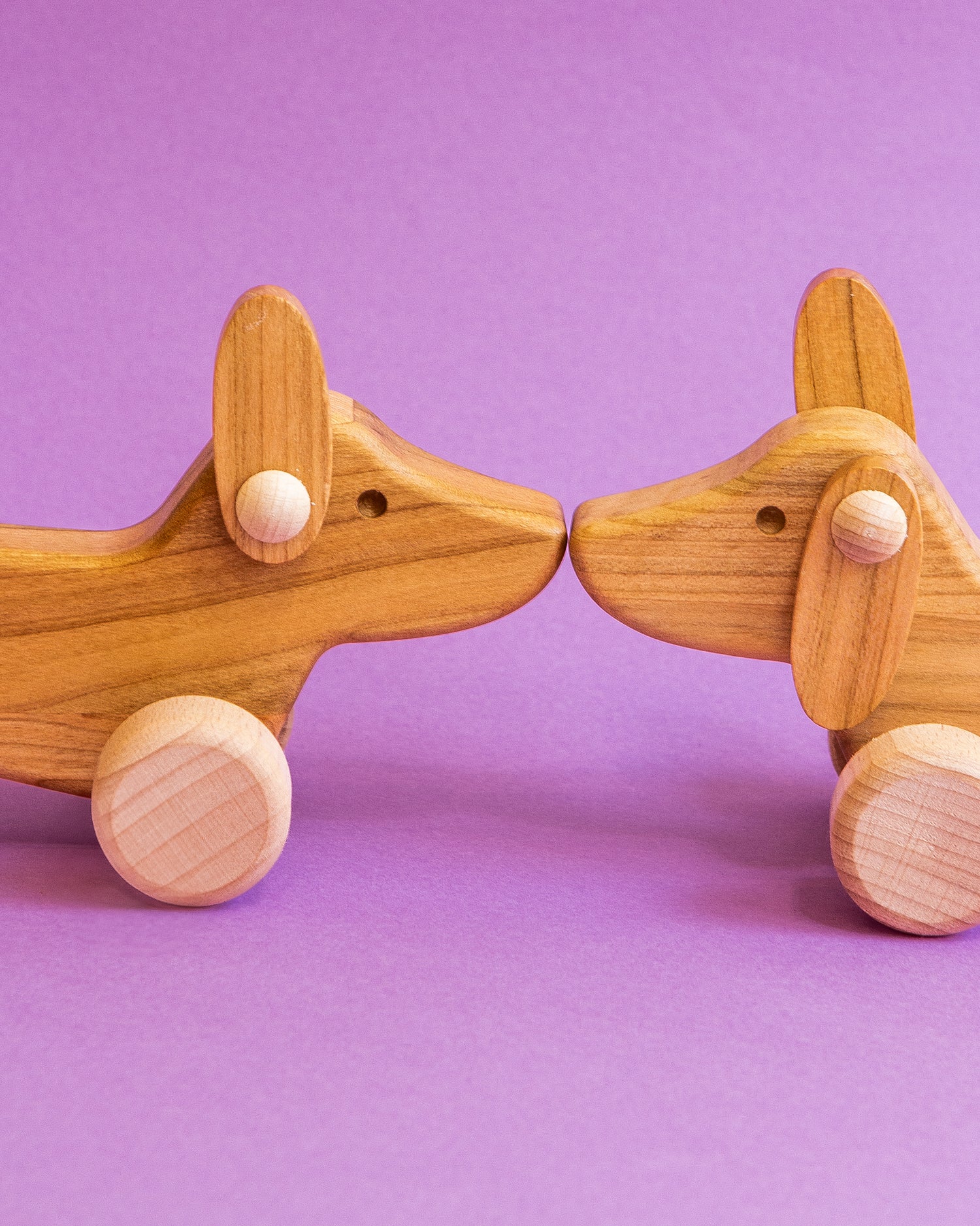 Push Dachshund Wooden Puppy image 1