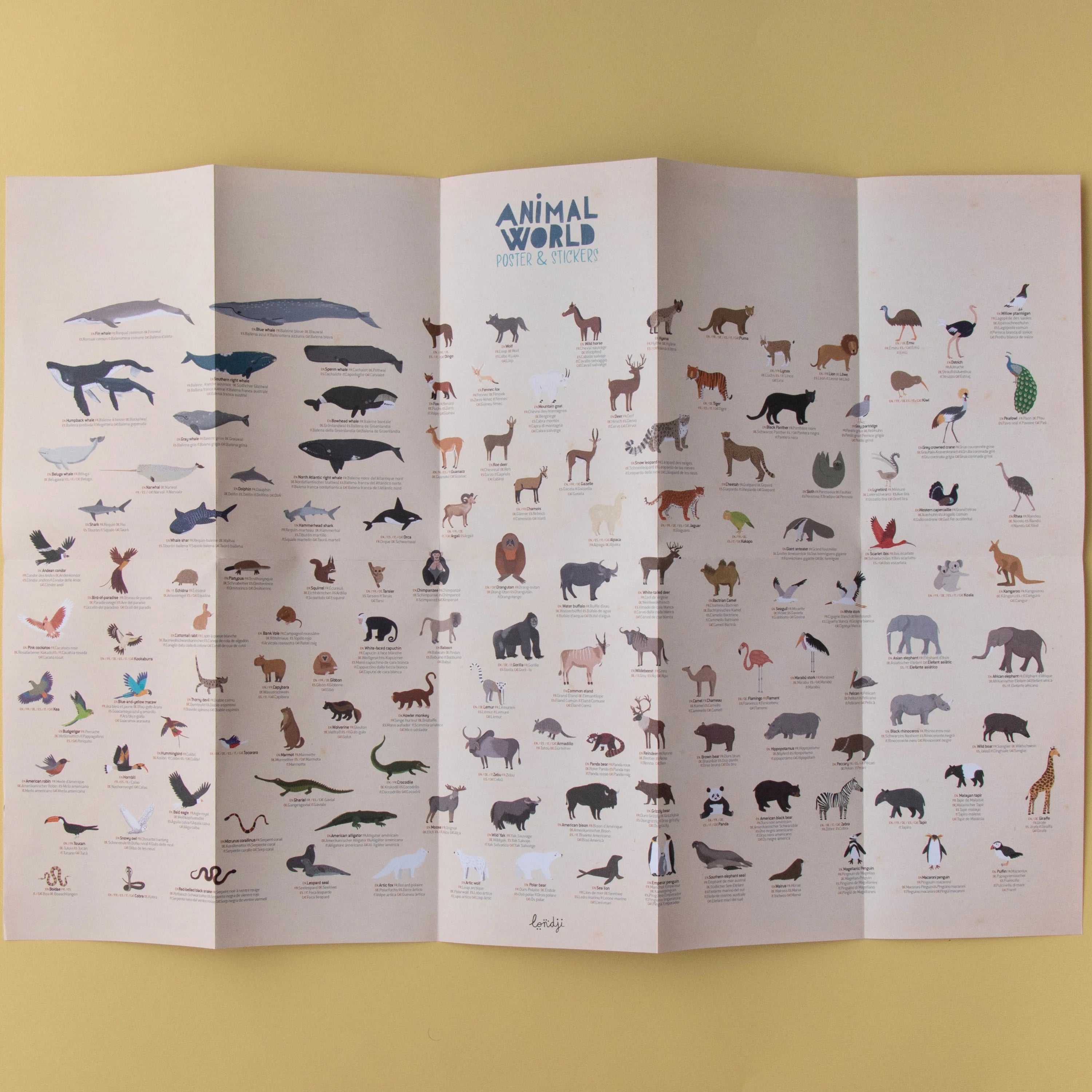 Animal World Poster & Stickers image 3