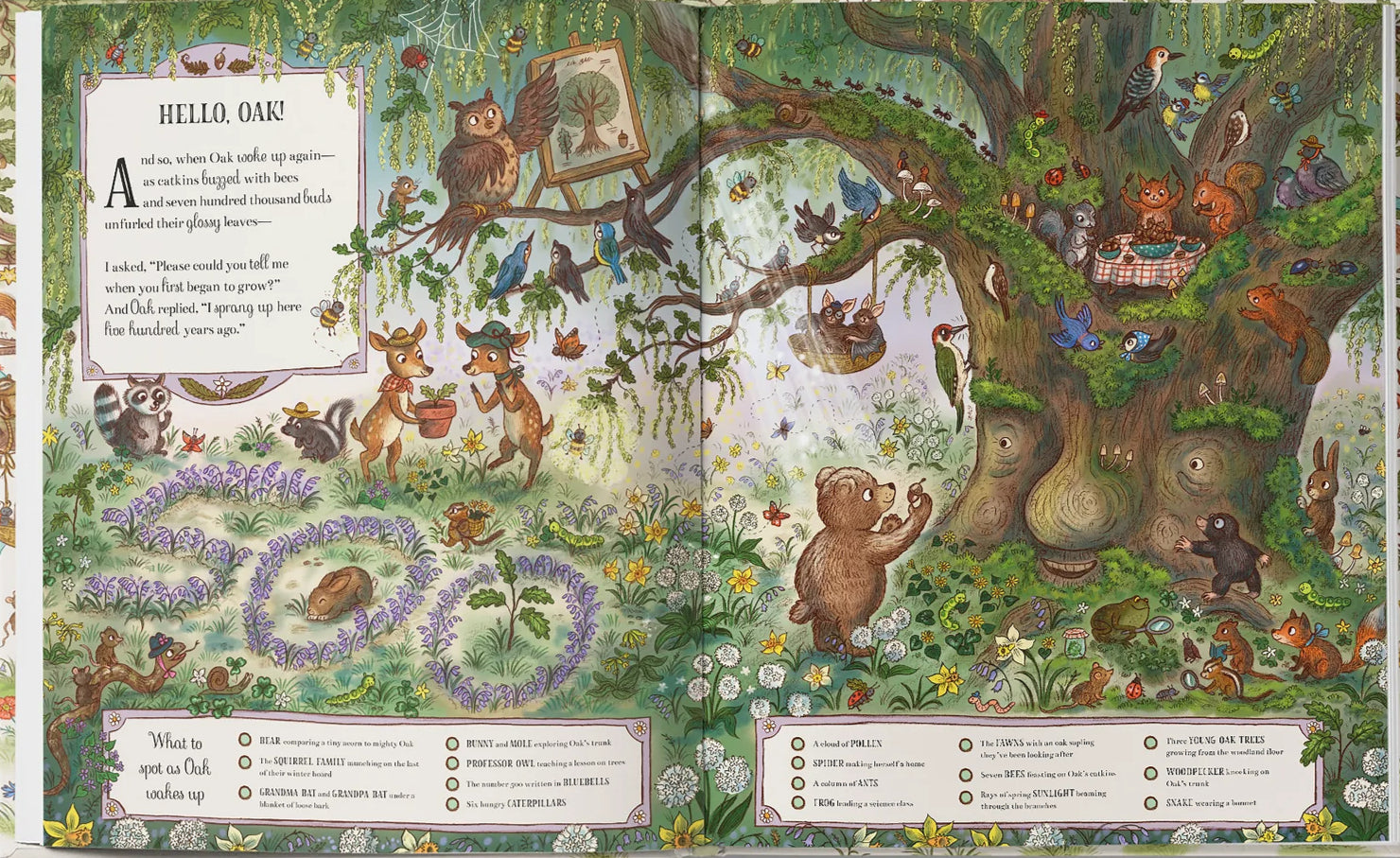 Grand Old Oak and the Birthday Ball: A Search and Find Adventure image 1