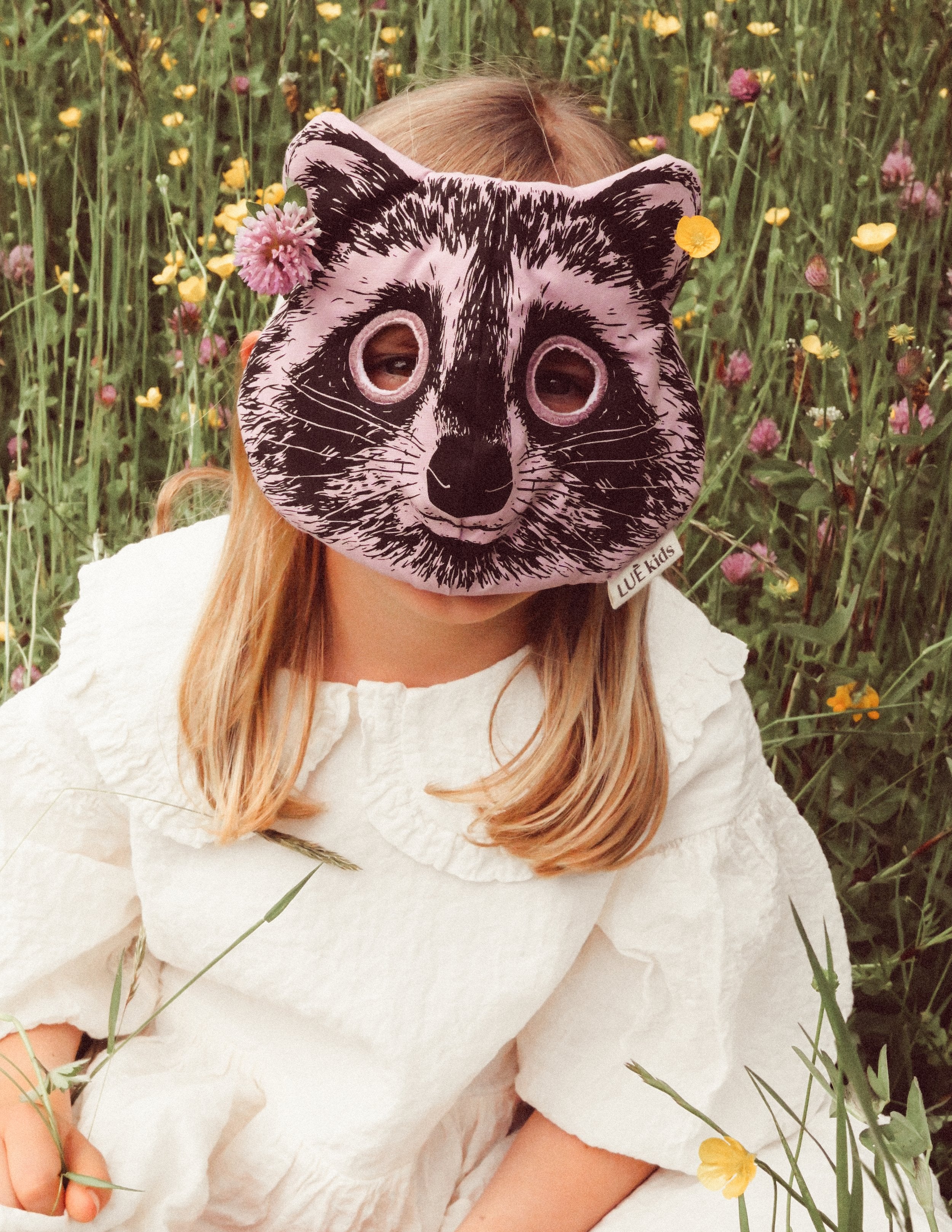 Raccoon Mask image 1