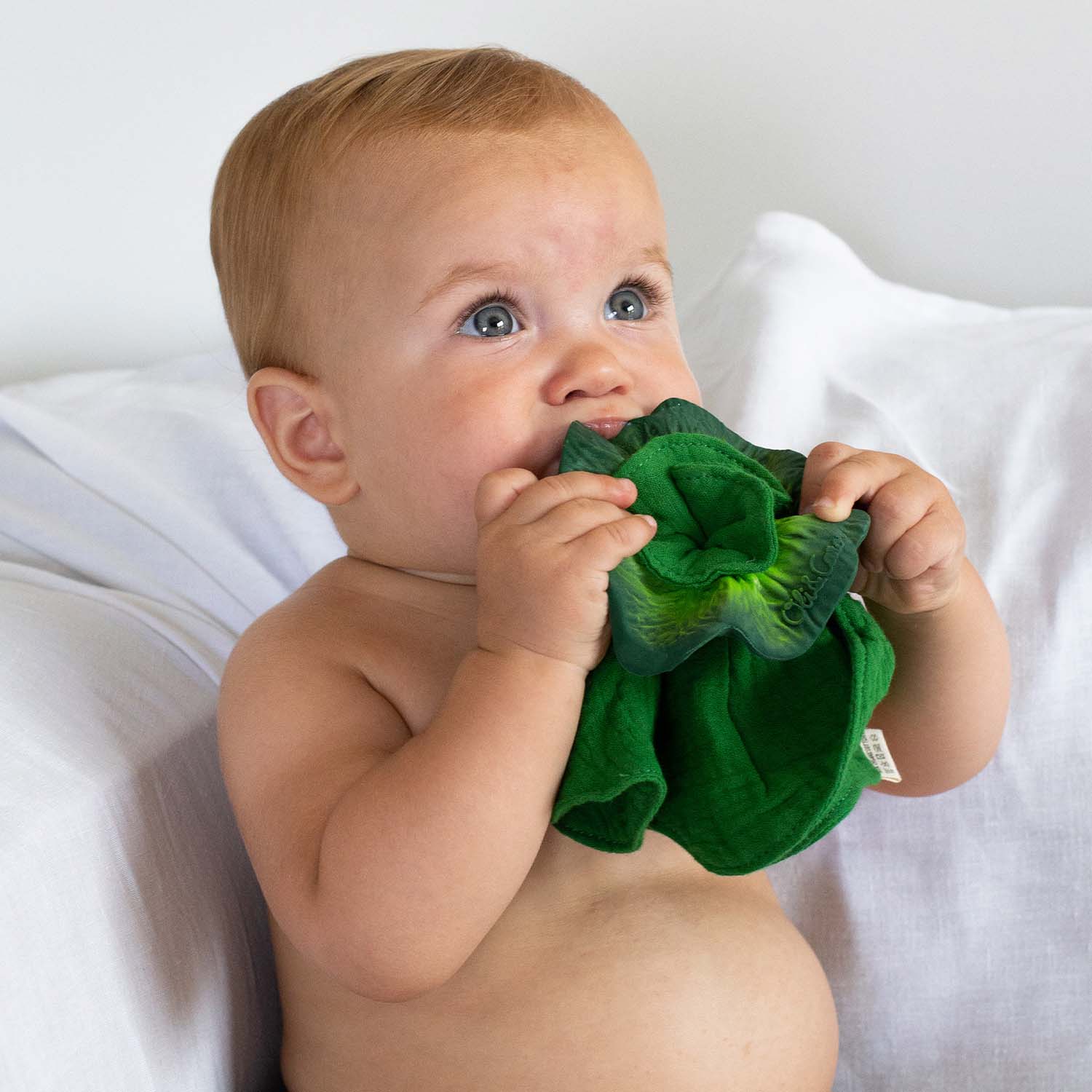 Mini Kale Natural Rubber Doudou-Teether
