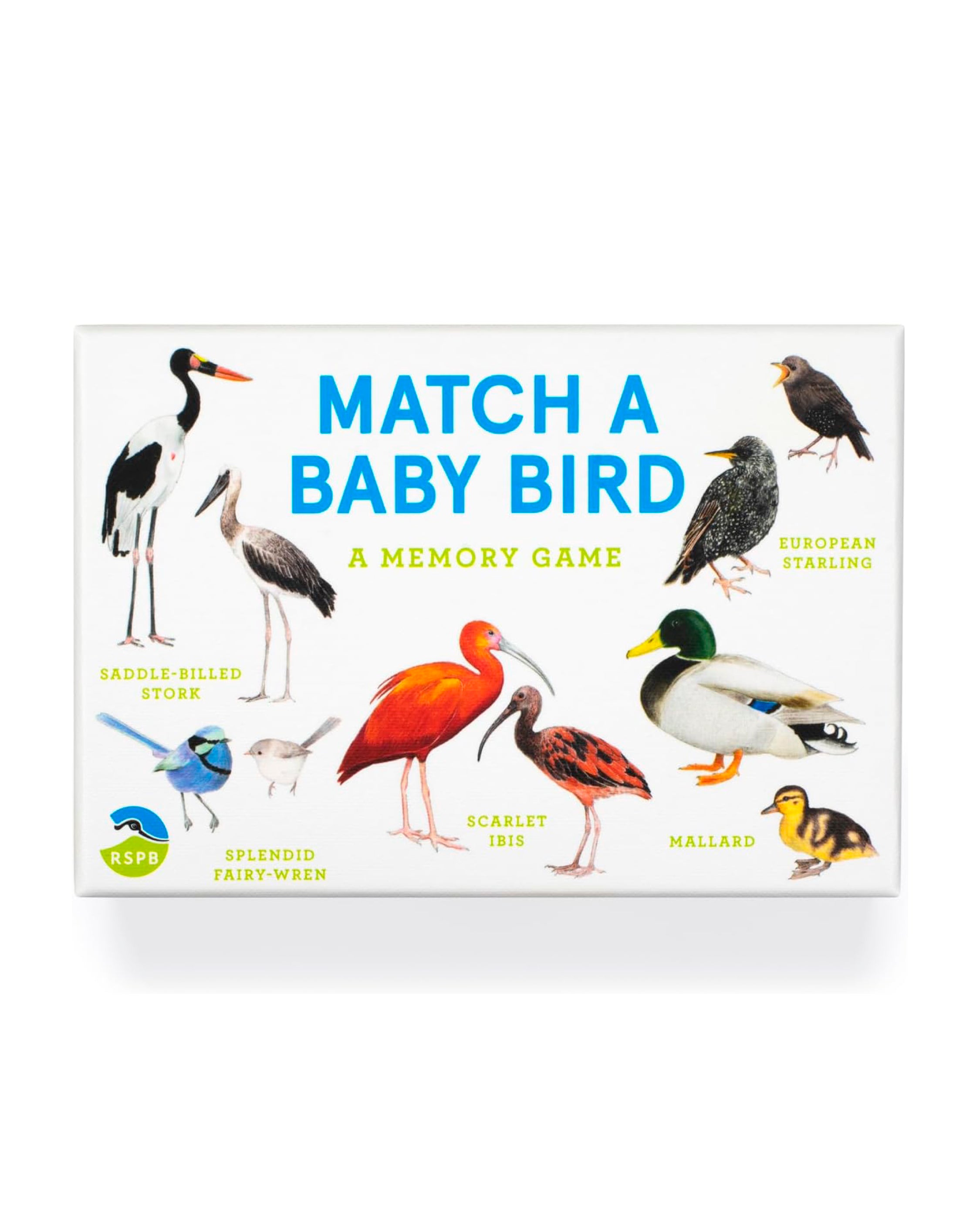 Baby Bird Match Memory Game