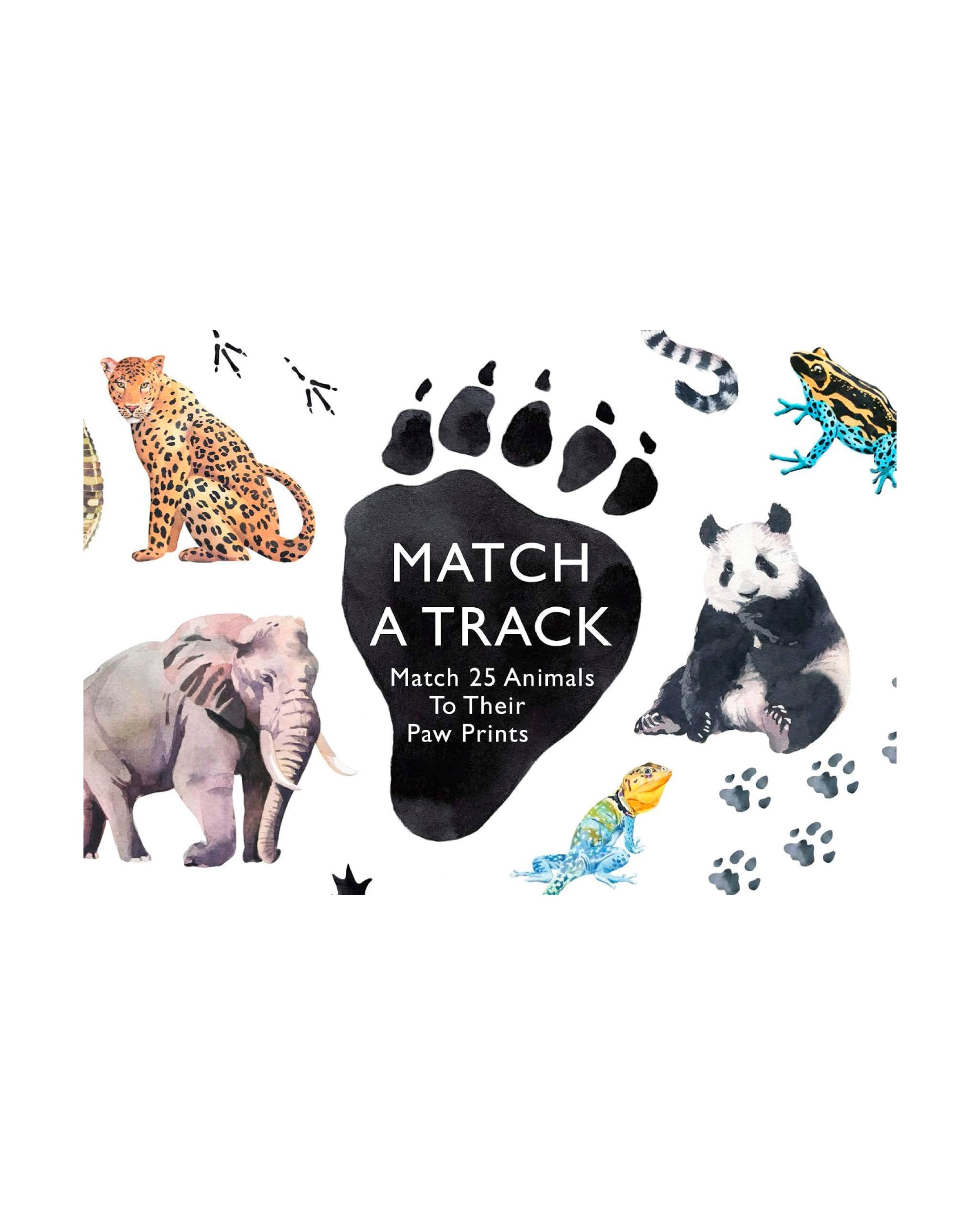 Animals to Their Paw Prints Match Memory Game