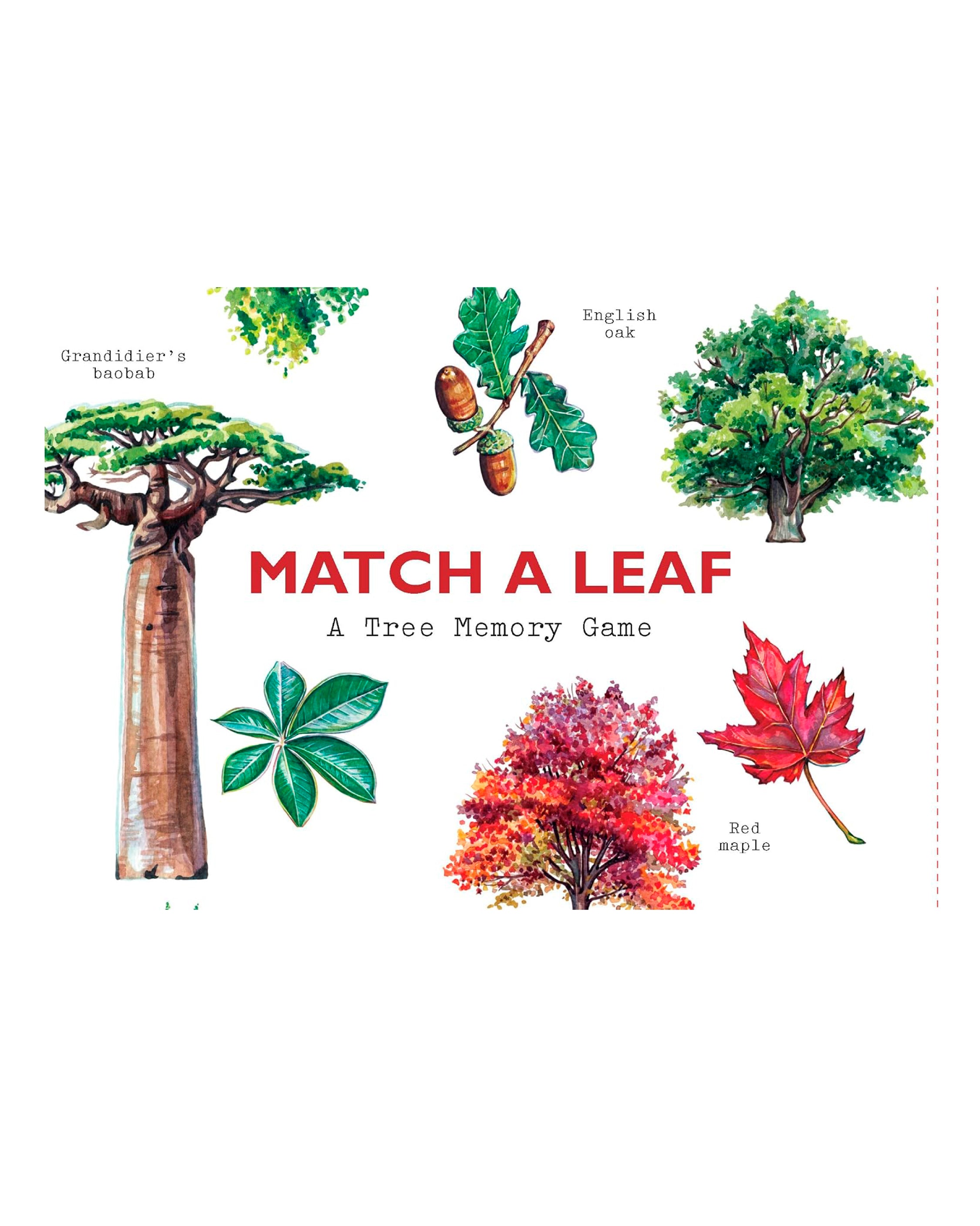 Leaf and Tree Match Memory Game