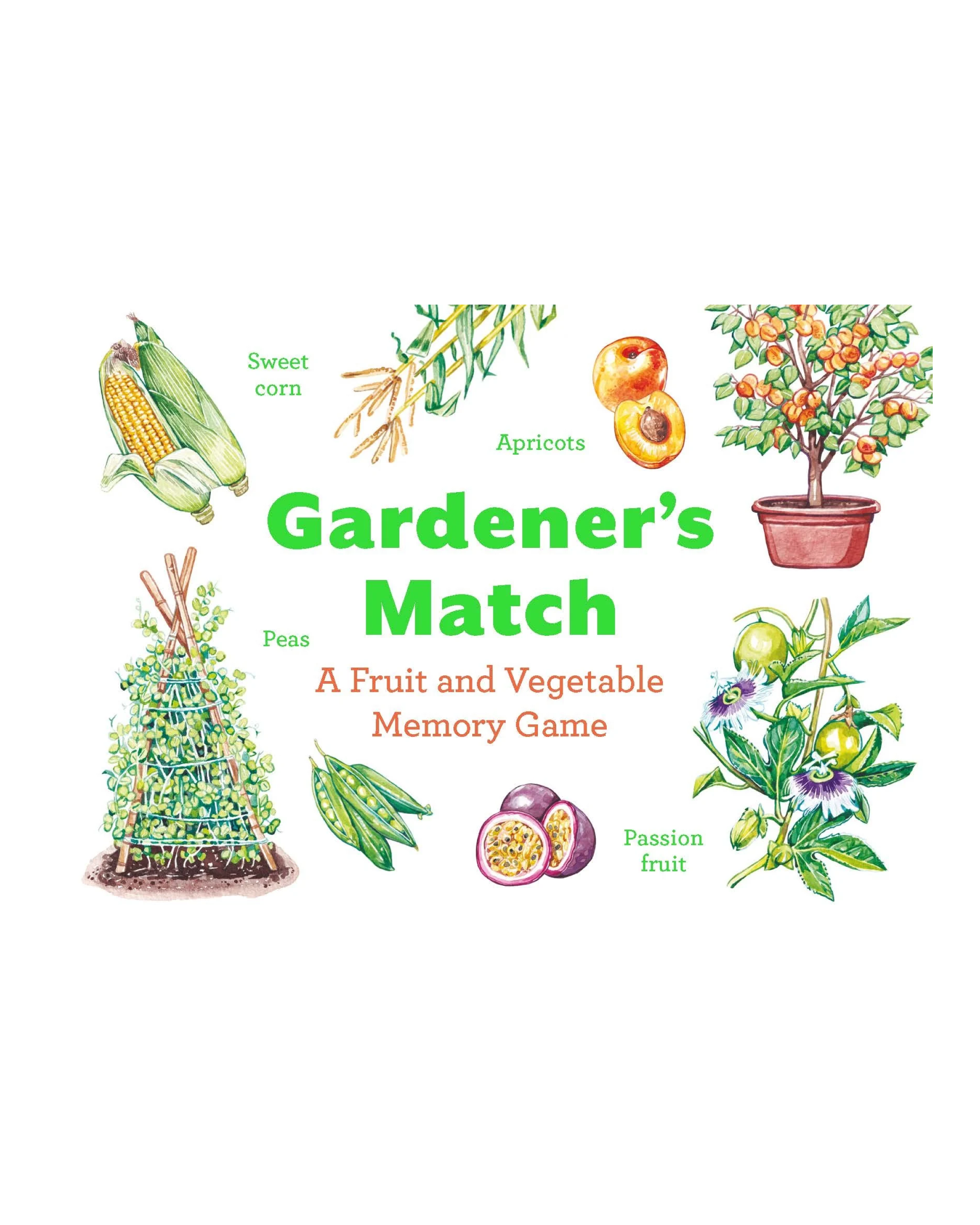 Gardener's Match Fruit and Vegetable Memory Game