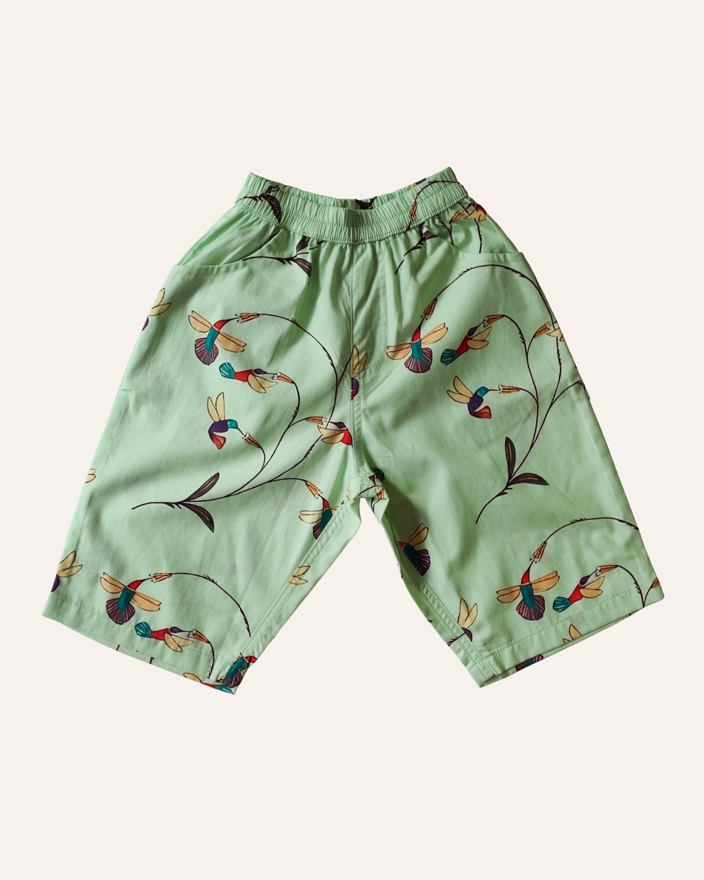 Hummingbirds Summer Wide Cropped Pants