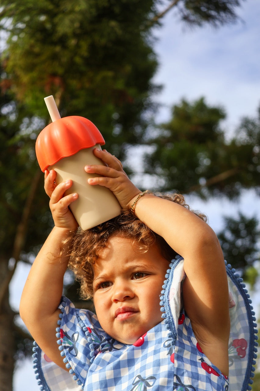 Silicone + Stainless-Steel Smoothie Cup Passata