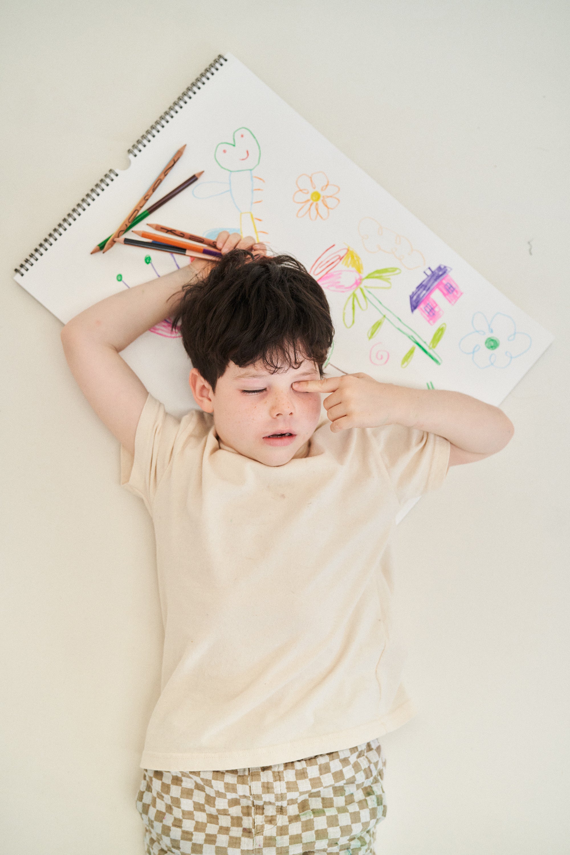 Monier's Dream Colored Japanese Pencils