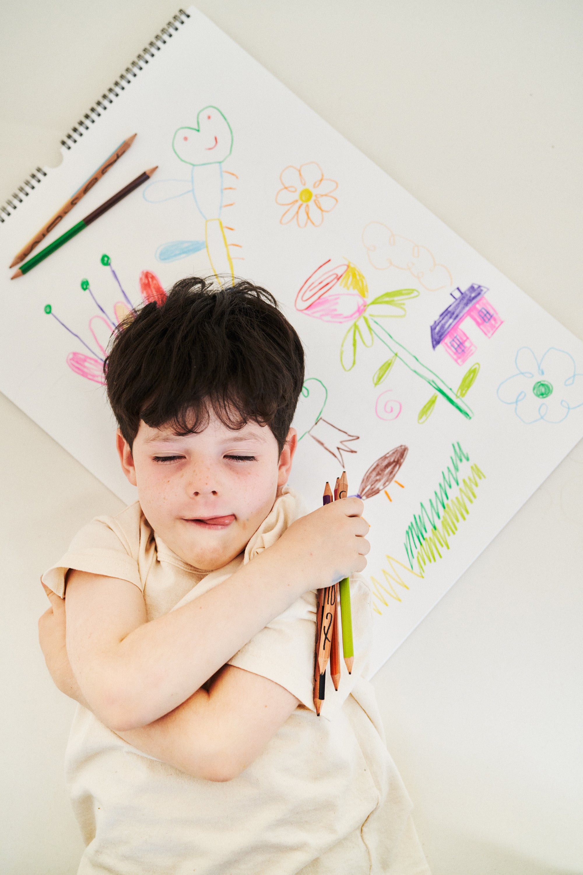 Monier's Dream Colored Japanese Pencils